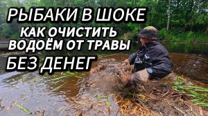 ВЫ УДИВИТЕСЬ, НО ОКАЗЫВАЕТСЯ МОЖНО ОЧИСТИТЬ ВОДОЁМ ОТ ТРАВЫ ВРУЧНУЮ!