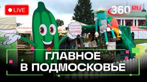 Как воспитать экологичную молодежь? Дегустация «Луховицкого огурца». Главное в Подмосковье