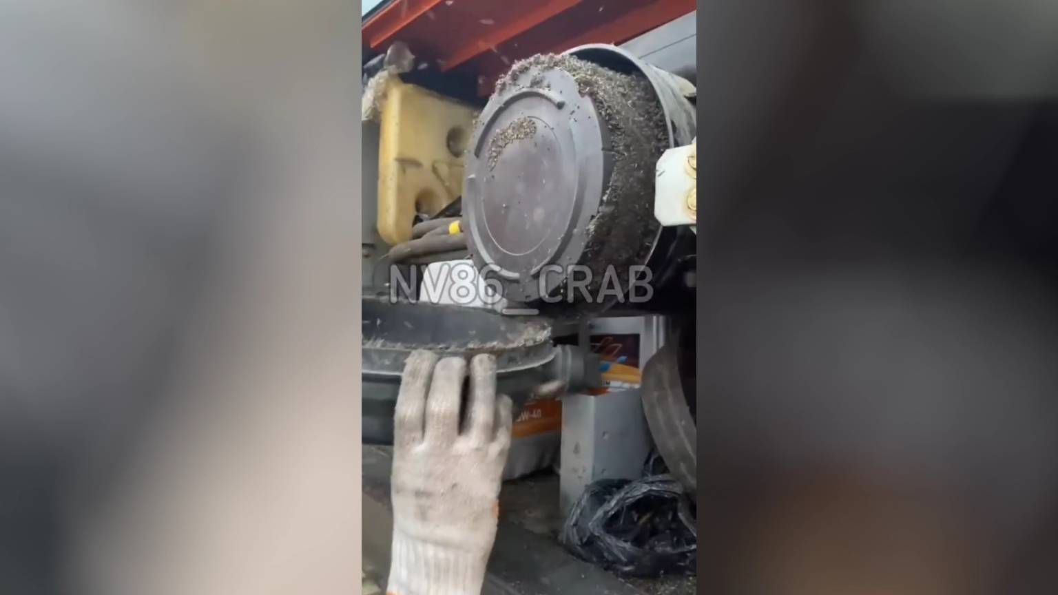 В югорском интернете можно найти рецепт котлет из комаров