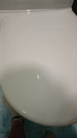 мем грузовое дерево