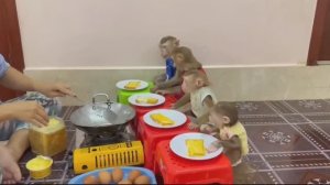 Обезьянки едят ГРЕНКИ С ЯЙЦАМИ в домашнем ресторане РАДУЮТ АППЕТИТОМ