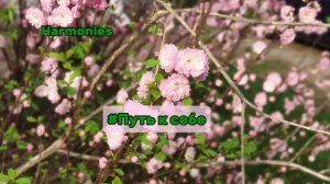 8 ЗАКОНОВ ИСТИННОЙ ПРИРОДЫ ЧЕЛОВЕКА