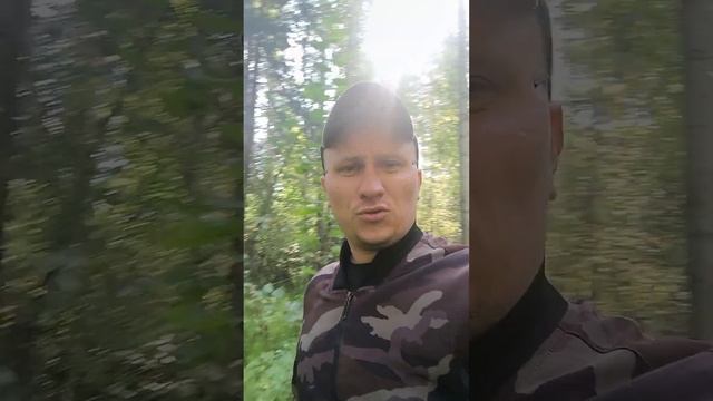 поход на гору Медведь-камень, Нижний Тагил, в поисках #гора #медведькамень #тагил #природа #travel