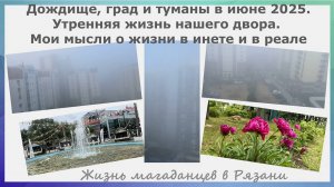Дождище, град и туманы в июне 2025. Утренняя жизнь нашего двора.  Мысли о жизни в инете и в реале