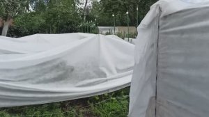 🍅🥒 Выращиваю овощи в парнике – неожиданные результаты этого сезона!
