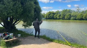 Поимка карпа на кукурузу