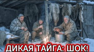 ТАЁЖНЫЕ СОСЕДИ_ ЭТО ШОК! ТЫ НЕ ПОВЕРИШЬ, ЧТО СЛУЧИЛОСЬ В ЛЕСУ! (Я САМ В УЖАСЕ!)