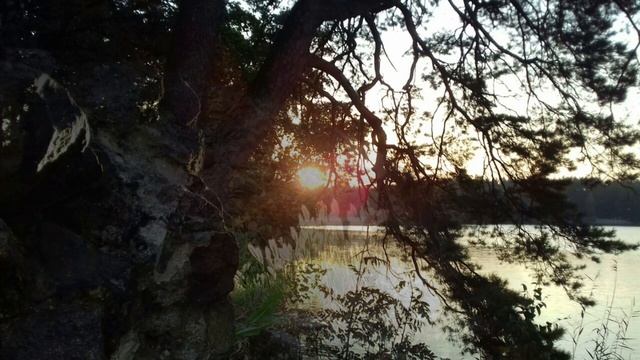 "@" Keiko Matsui. Midnight Stone. Accordion (cover). смотреть онлайн