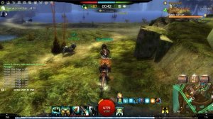 Guild Wars 2 Паладин на WvW