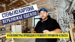 Стены из картона, верблюжье одеяло и километры проводов в ремонте премиум-класса