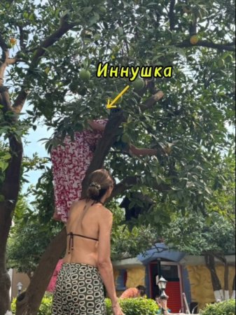 🌸Вы спрашивали и мы отвечаем.