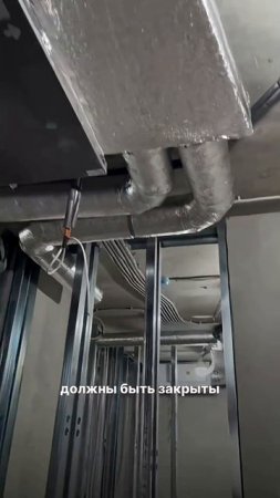 Откуда берется плесень дома и как ее избежать