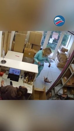 Необычный домашний питомец шокировал сотрудницу петербургского ПВЗ