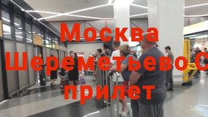 Прилетели в Шереметьево С. Что дальше? Автобус, аэроэкспресс, такси Обзор Аэропорт