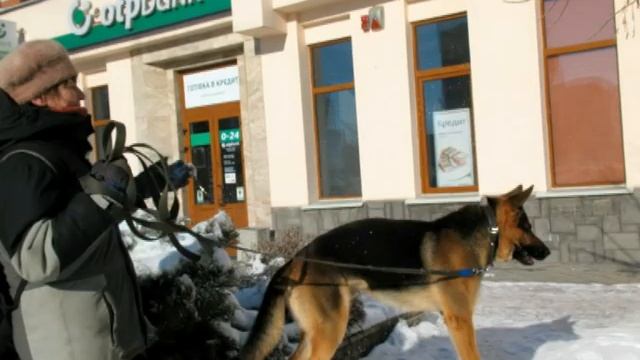 Летающий Чен (Flying Cheng) смотреть онлайн