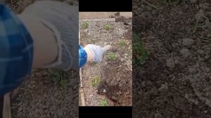 Работы на участке.