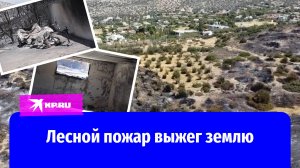 Последствия крупного лесного пожара в Греции