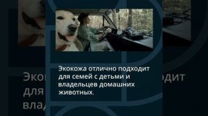 Обзор чехлов из экокожи и велюра для авто‑сидений