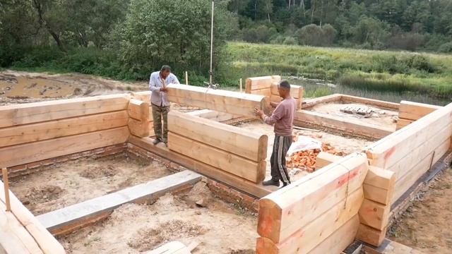 Тёплый крепкий дом из огромных бревен. Пошаговый процесс строительства