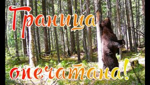 Нашествие медведей 12 медведей пришли отметиться неужели это всё местные в прошлом году приходило 3