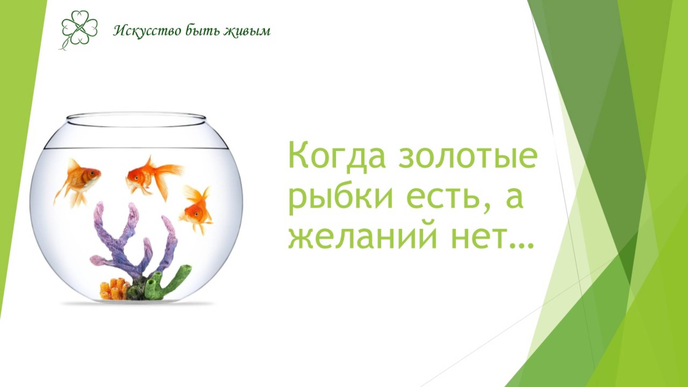 Когда золотые рыбки есть. а желаний нет...
