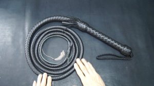 Арапник 3 м в х Гусева РО.