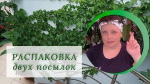 РАСПАКОВКА 2 ПОСЫЛОК. Можно загадать желание !