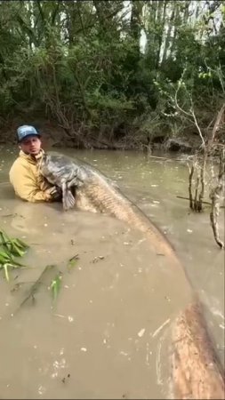 Я не понял, а кто кого поймал 😅