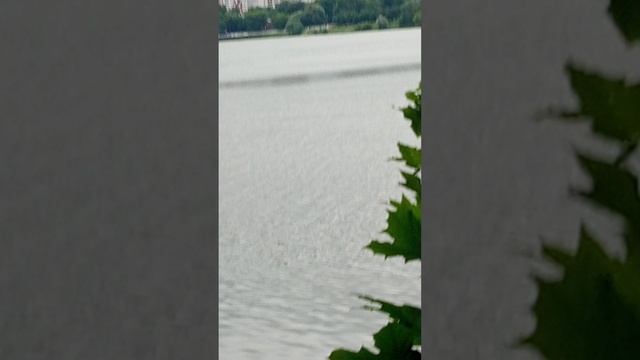 1000021034.mp4