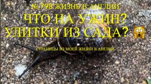 Что на ужин? Улитки из нашего сада? 🙀 Распаковка покупок. № 798 Жизнь в Англии