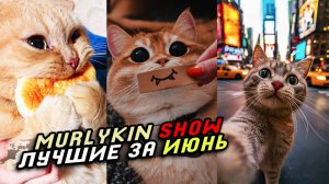 🔥 Приколы с котами и собаками ОТ Murlykin Show 😂 Подборка смешных животных №1 ☺️ Лучшие за ИЮНЬ 😎