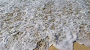 Белые ночи. Новая песня в стиле легенды русского рока (Official Video) Посвящение Виктору Цою #цой