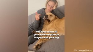 Собака из-за которой я захотел завести вторую собаку