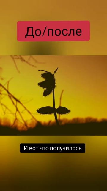 Иногда, обработка просто уходит в край от оригинала, но я так вижу этот момент.