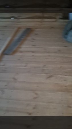 1000027447.mp4 (Собака наблюдает за устройством плоскости каркаса для и/бруса в доме А-фрейм)