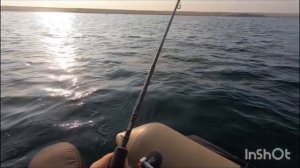 Рыбалка на самодур.Ловля ставриды