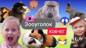 ЖИВОЙ УГОЛОК🥰😜 ПРОГУЛКА🐿🐇 ЖИВОТНЫЕ 🐐🐪 ДЛЯ ДЕТЕЙ🦝КОВЧЕГ