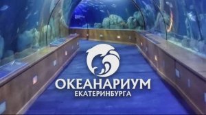 Океанариум, Екатеринбург