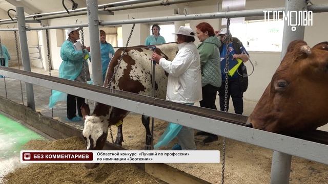 Без комментариев. Областной конкурс  «Лучший по профессии» по номинации «Зоотехник»