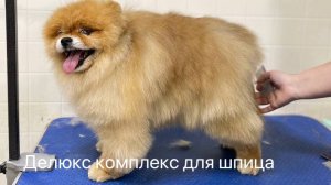 Делюкс комплекс для шпица в Groomerpet.ru