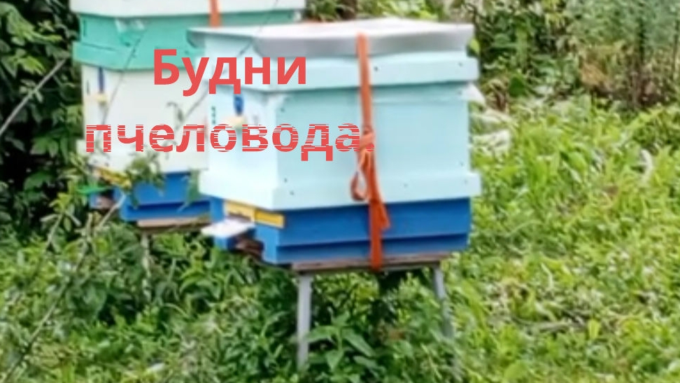 Будни пчеловода, стол для распечатки сот из раковины нержавейки своими руками.