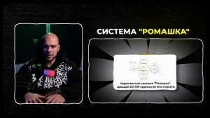 Система - Ромашка