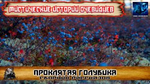 Проклятая голубика - Мистические истории