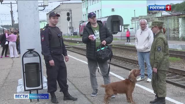 Смоленские служебные собаки прошли тестирование на поиск наркотических средств