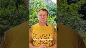 Что будет если нормализовать желчный