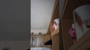 Кплининград