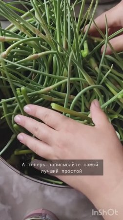 24.06.25 или самый простой рецепт с чесночным стрелками