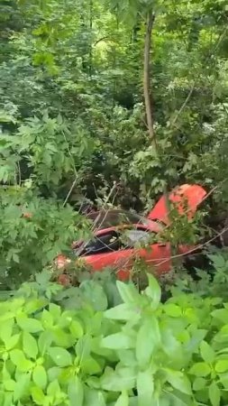 ‼️Пенсионерка перепутала педали на своем Porsche Cayenne и вылетела в кювет‼️
