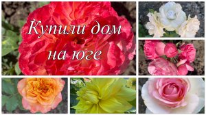 604ч🏡26.06.25-Посылка от Надежды//С плитой все нормально//Живем на юге//#ст.Ивановская