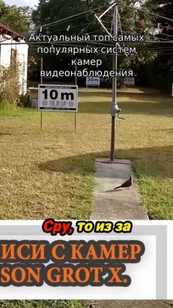 Актуальный топ самых популярных систем камер видеонаблюдения
